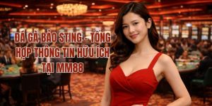 Đá Gà Bảo Sting - Tổng Hợp Thông Tin Hữu Ích Tại MM88