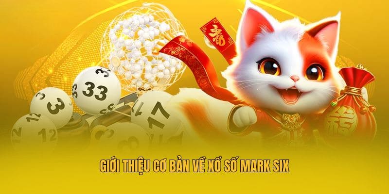 Giới thiệu cơ bản về Xổ số Mark Six